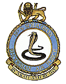 8 Sqn Home Page