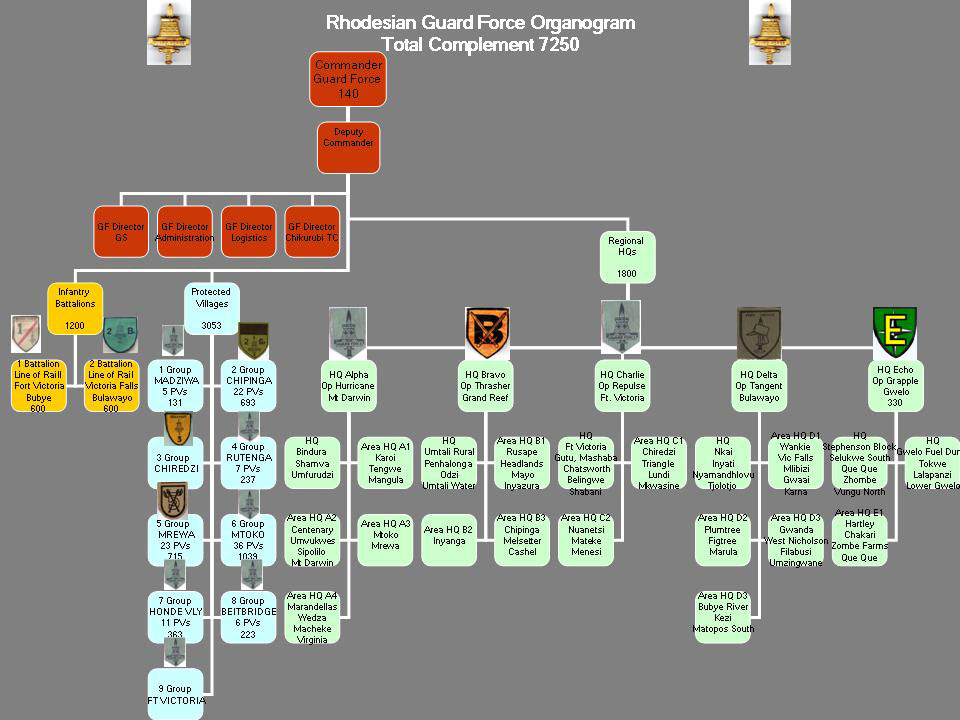 The Guard Force Organisational Structure