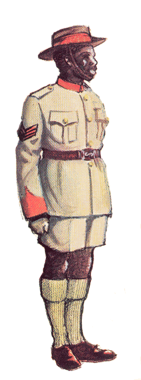 Sergeant or Senior District Assistant wearing the full-dress uniform of the Ministry of Internal Affairs