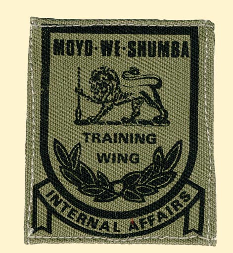 Training Wing Flash