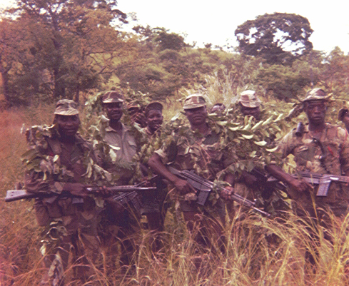 Intaf personnel on patrol in camouflage uniform
