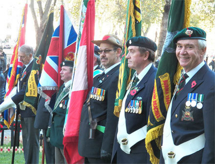 Remembrance Colours 2013