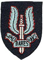 Other ranks cap badge
