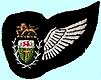 Air Crew Half Wing