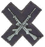 Marksman Badge