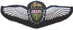 Pilots Wings - Rhodesian Air Force