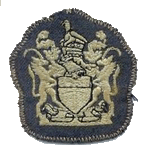 Warrant Officer 1stClass (WO1)