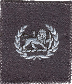 Warrant Officer 2nd Class