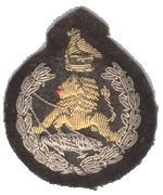Cap Badge (Officers)